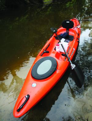 A Little Piece of Wilderness